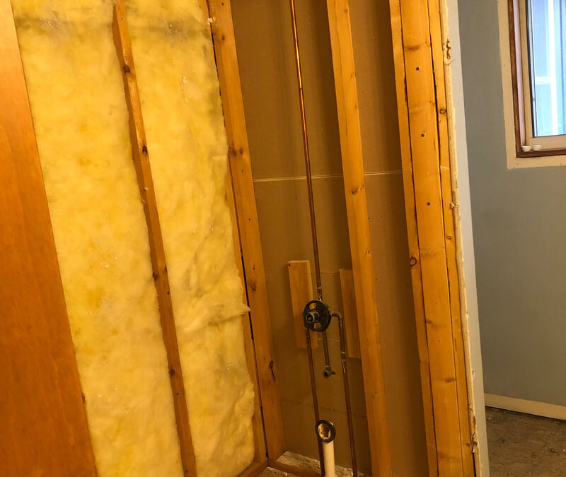 Zeeland Bathroom Remodel